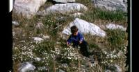 Royal visit in Uummannaq and child playing by the sea